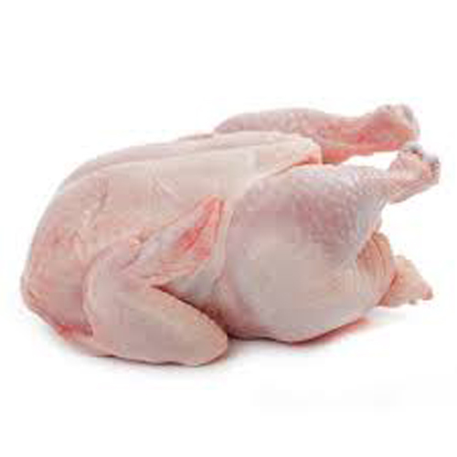 Whole Broiler Chicken