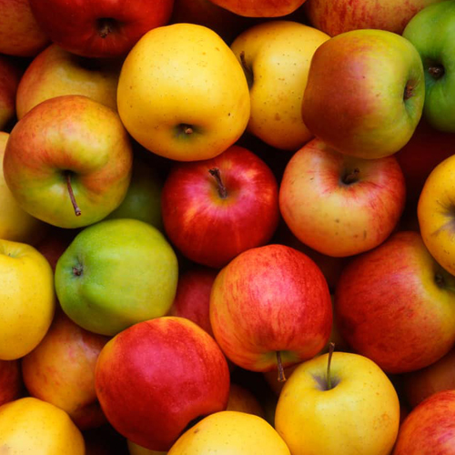 Apple - Fresh Medium