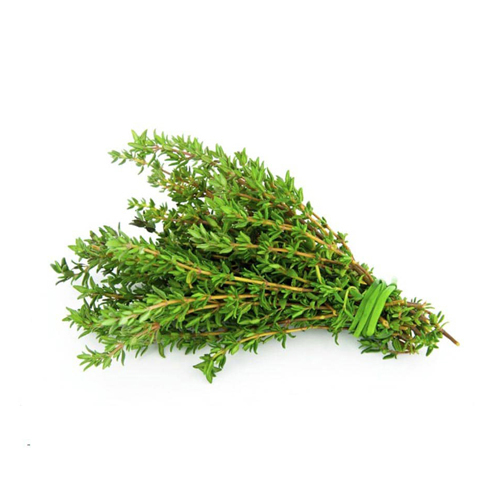 Thyme